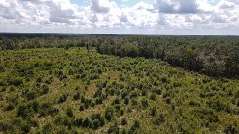 tbd NE 36th Drive Dr, Jasper, FL 32052 photo 11