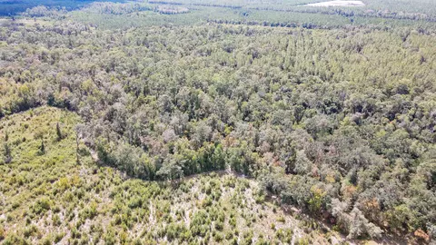tbd NE 36th Drive Dr, Jasper, FL 32052 photo 7