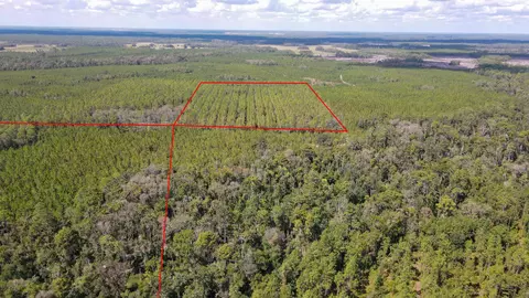 tbd NE 36th Drive Dr, Jasper, FL 32052 photo 2
