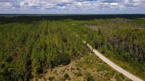tbd NE 36th Drive Dr, Jasper, FL 32052 photo 24