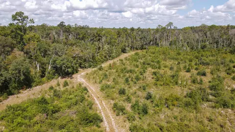 tbd NE 36th Drive Dr, Jasper, FL 32052 photo 8
