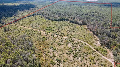 tbd NE 36th Drive Dr, Jasper, FL 32052 photo 3