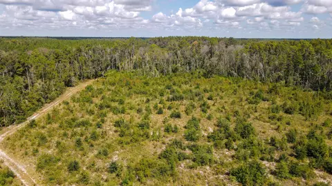 tbd NE 36th Drive Dr, Jasper, FL 32052 photo 9