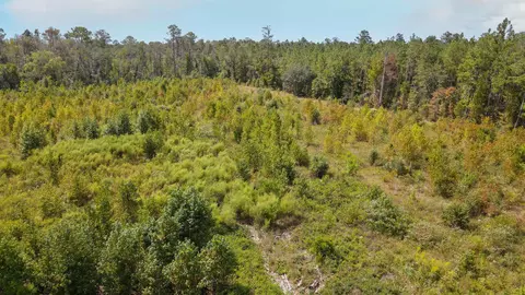 tbd NE 36th Drive Dr, Jasper, FL 32052 photo 22