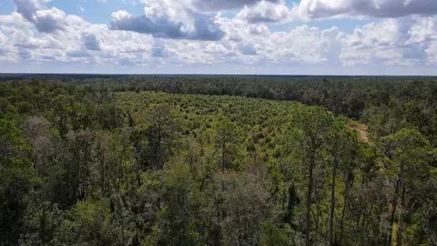 tbd NE 36th Drive Dr, Jasper, FL 32052 photo 16