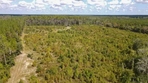 tbd NE 36th Drive Dr, Jasper, FL 32052 photo 15