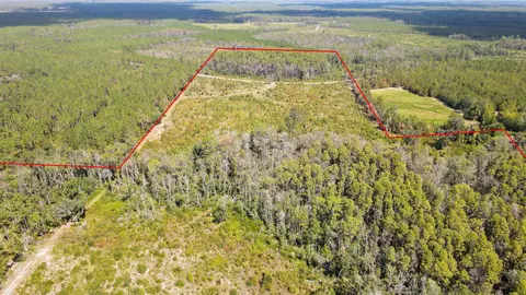 tbd NE 36th Drive Dr, Jasper, FL 32052 photo 6