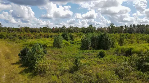 tbd NE 36th Drive Dr, Jasper, FL 32052 photo 20