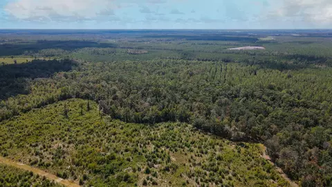 tbd NE 36th Drive Dr, Jasper, FL 32052 photo 4