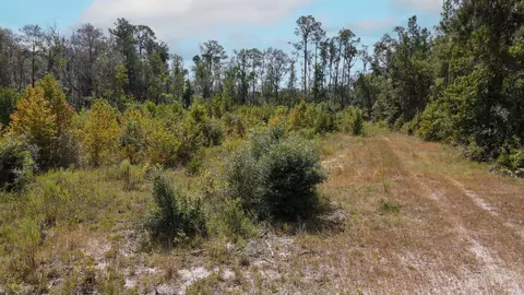 tbd NE 36th Drive Dr, Jasper, FL 32052 photo 18
