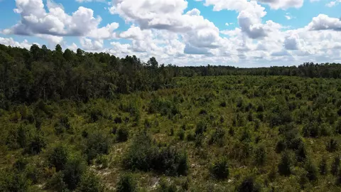 tbd NE 36th Drive Dr, Jasper, FL 32052 photo 14