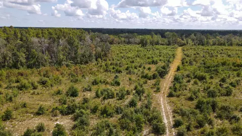tbd NE 36th Drive Dr, Jasper, FL 32052 photo 10
