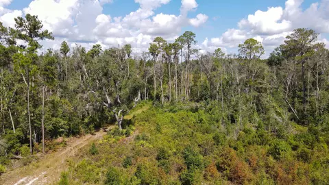 tbd NE 36th Drive Dr, Jasper, FL 32052 photo 12