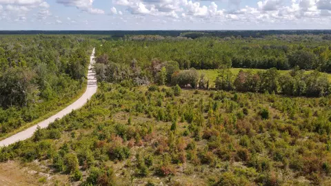 tbd NE 36th Drive Dr, Jasper, FL 32052 photo 23