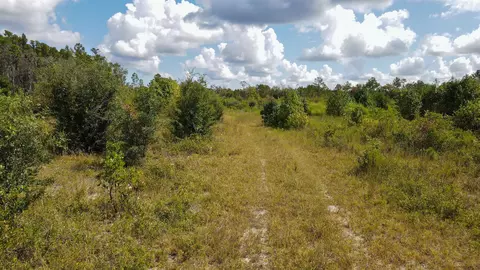 tbd NE 36th Drive Dr, Jasper, FL 32052 photo 19