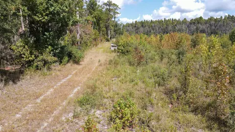 tbd NE 36th Drive Dr, Jasper, FL 32052 photo 17