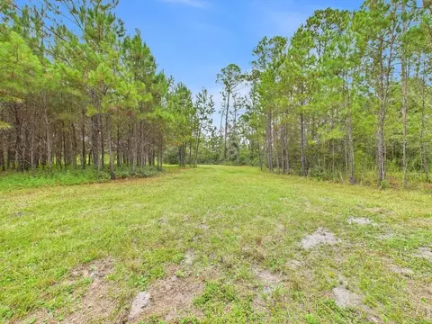 7440 Alton Wentworth Rd, Greenville, FL 32331