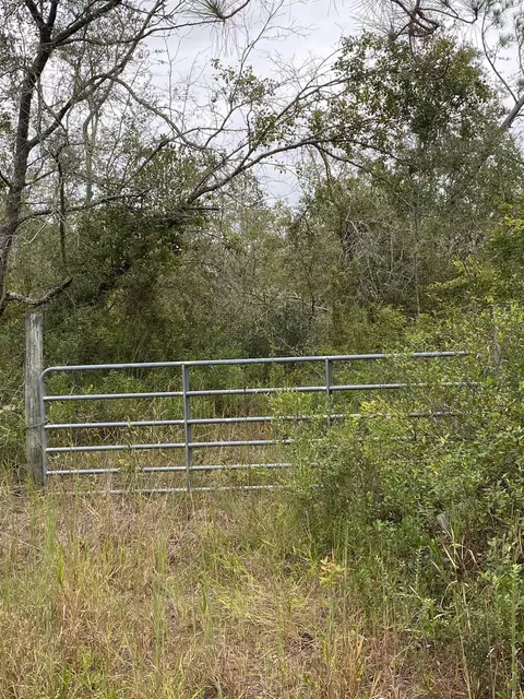 lot81 SW Kramer Rd, Madison, FL 32340