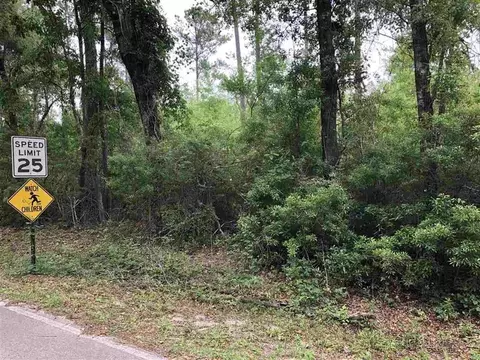 Nnn Oak Park Road, Sopchoppy, FL 32358