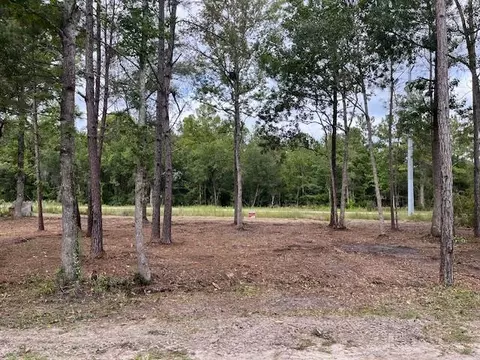 Nn Bernard Avenue, Sopchoppy, FL 32358