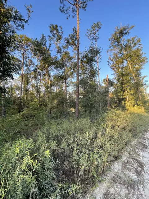 0 14th Ter, Live Oak, FL 32060