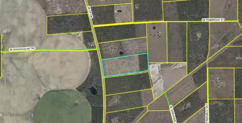 Vacant 40 Ac SE Cr 255, Lee, FL 32059