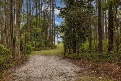 2630 E Us Highway 98, Lanark, FL 32323 photo 6