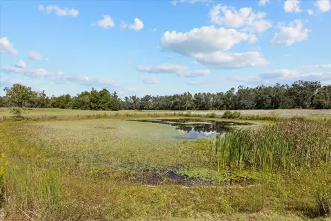 View/Area - 647 SE Regency Trl, Madison, FL 32340 photo 1 of 5