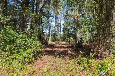 Vacant NW Little Cat Road, Madison, FL 32340