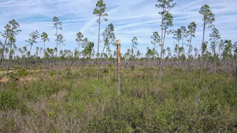 lot49 Circle Block Loop, Perry, FL 32348 photo 30