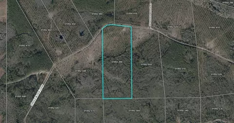 lot49 Circle Block Loop, Perry, FL 32348 photo 2