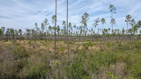 lot49 Circle Block Loop, Perry, FL 32348 photo 31