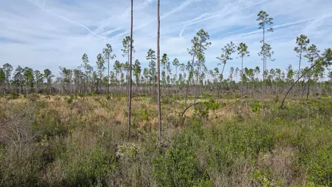 lot49 Circle Block Loop, Perry, FL 32348 photo 31