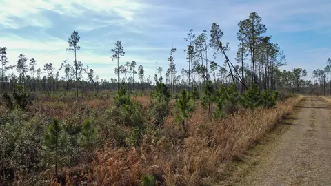 lot49 Circle Block Loop, Perry, FL 32348 photo 3