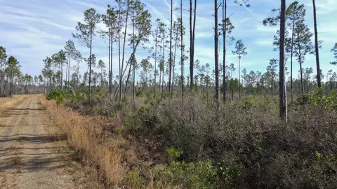 lot49 Circle Block Loop, Perry, FL 32348