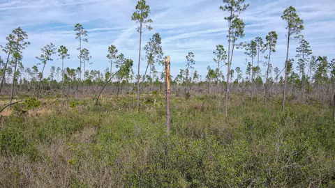 lot49 Circle Block Loop, Perry, FL 32348 photo 30