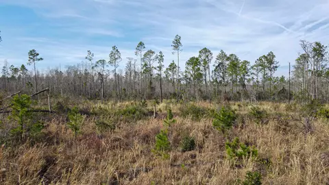 lot49 Circle Block Loop, Perry, FL 32348 photo 33