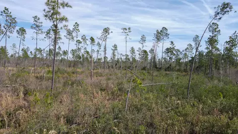 lot49 Circle Block Loop, Perry, FL 32348 photo 10