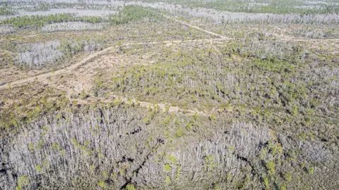 lot49 Circle Block Loop, Perry, FL 32348 photo 20
