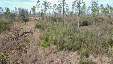 lot49 Circle Block Loop, Perry, FL 32348 photo 23