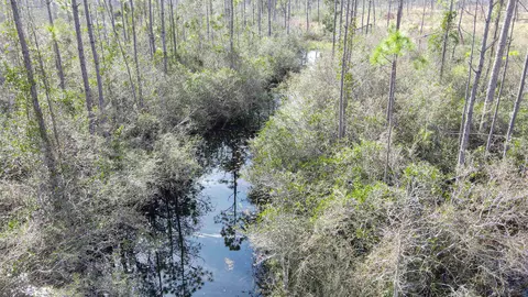 lot49 Circle Block Loop, Perry, FL 32348 photo 28
