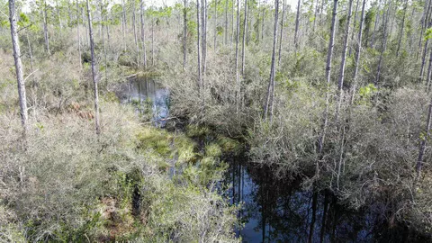lot49 Circle Block Loop, Perry, FL 32348 photo 27