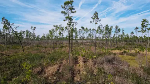 lot49 Circle Block Loop, Perry, FL 32348 photo 12
