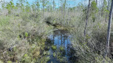lot49 Circle Block Loop, Perry, FL 32348 photo 29