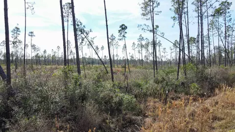lot49 Circle Block Loop, Perry, FL 32348 photo 6