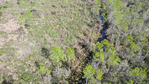 lot49 Circle Block Loop, Perry, FL 32348 photo 25