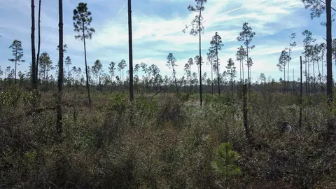 lot49 Circle Block Loop, Perry, FL 32348 photo 7