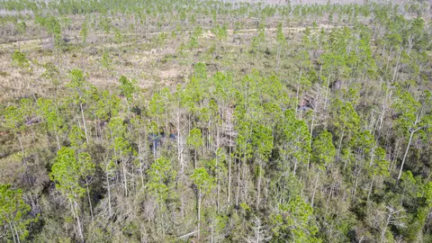 lot49 Circle Block Loop, Perry, FL 32348 photo 24