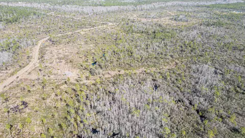 lot49 Circle Block Loop, Perry, FL 32348 photo 19