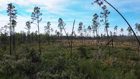 lot49 Circle Block Loop, Perry, FL 32348 photo 11
